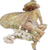 Fantasy Fairy Boy Flowers Image